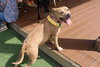 Winky - Photo 2