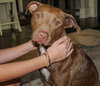 Molly - Photo 2