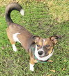 Tina - Photo 2