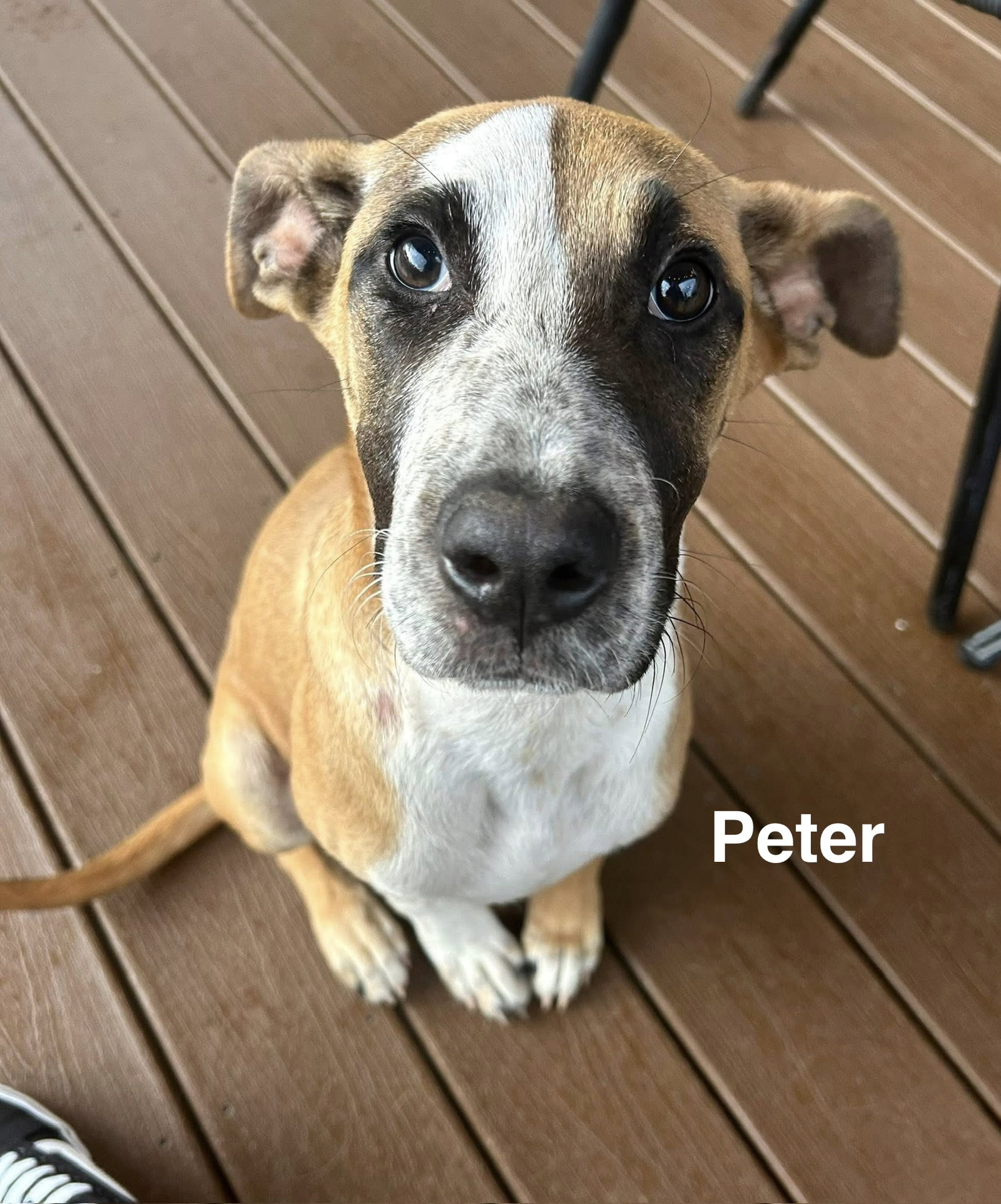Peter