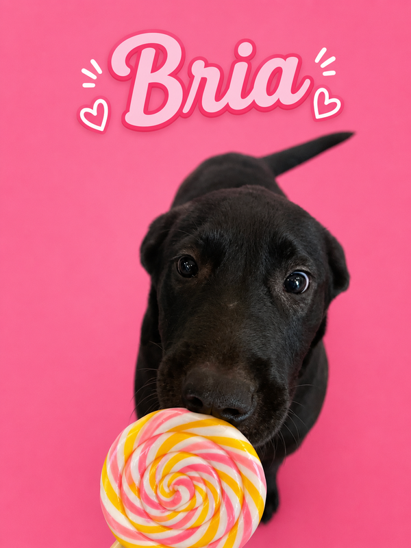 Bria