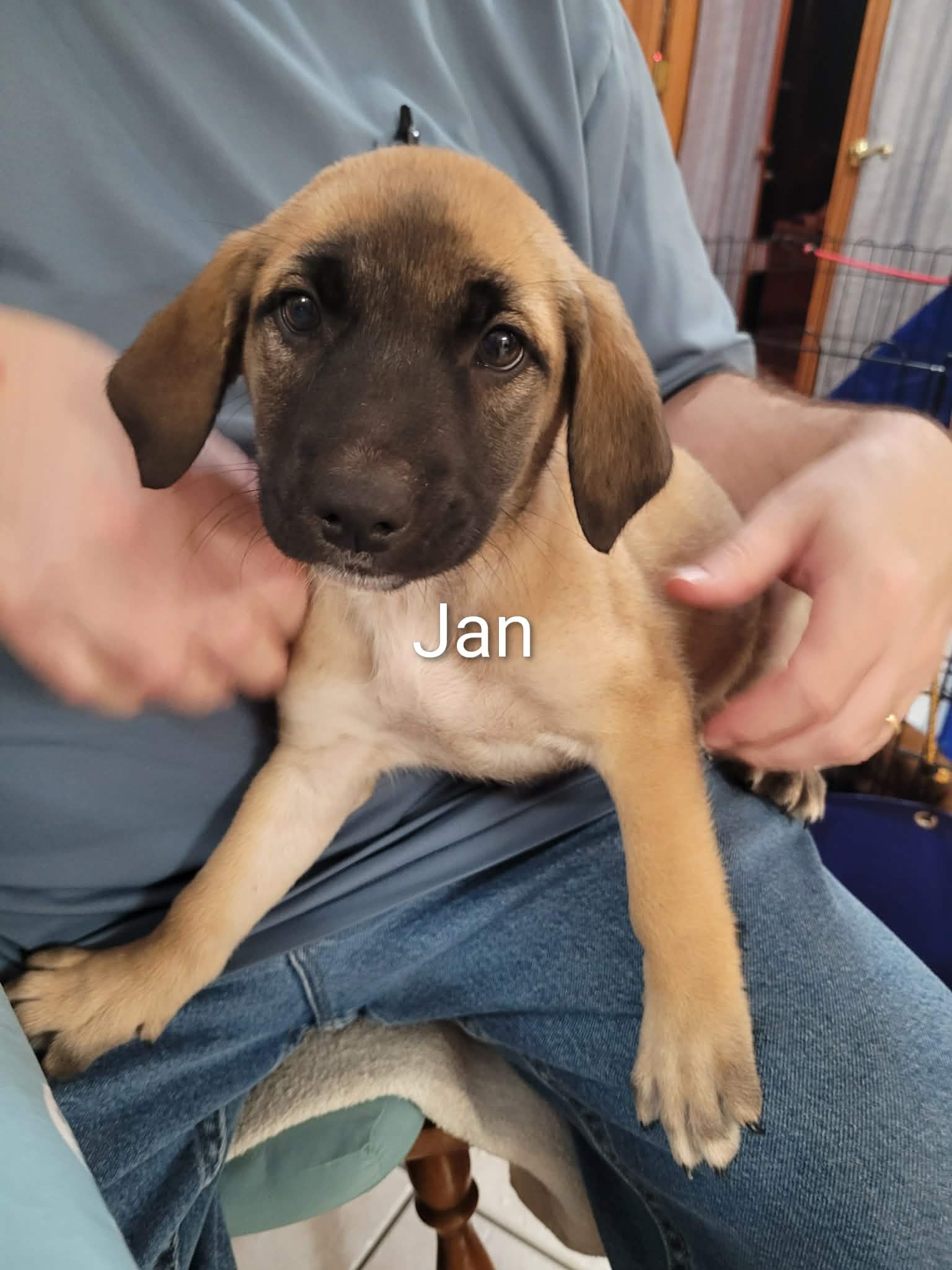 Jan