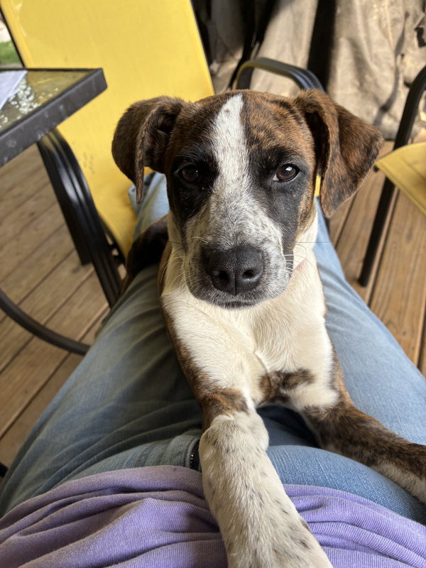 Lucy