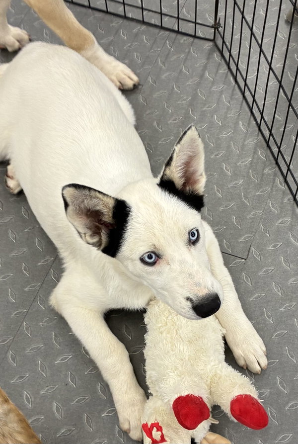 Luna