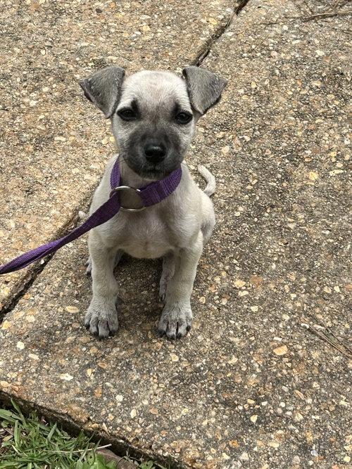 Photo 3 of Dakota