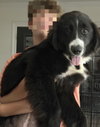 Delilah