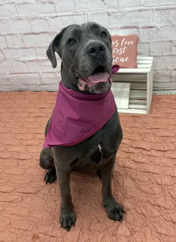 Sasha image 1