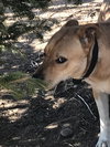 Jack - Photo 5