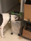 Maizey - Photo 3