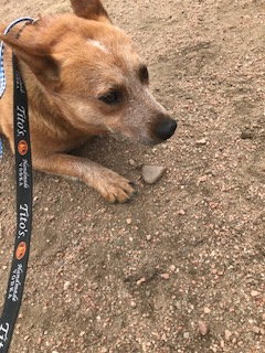 Ushi photo 4