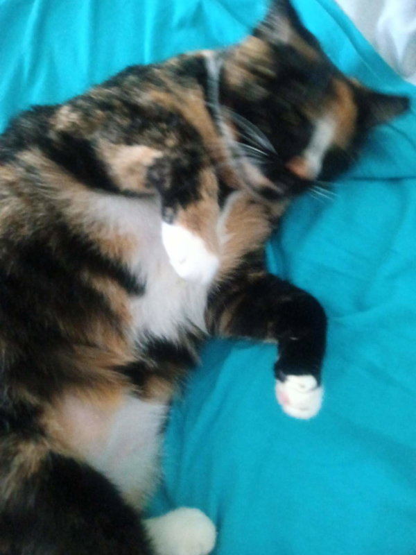 Mitzi