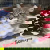 Sonny