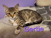 Gertie