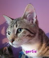 Gertie