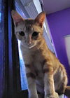 Patrick
