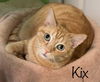 Kix