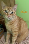 Kix