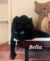 Bella