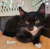 Bon D