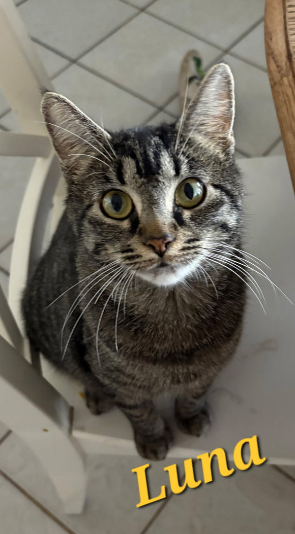 Luna