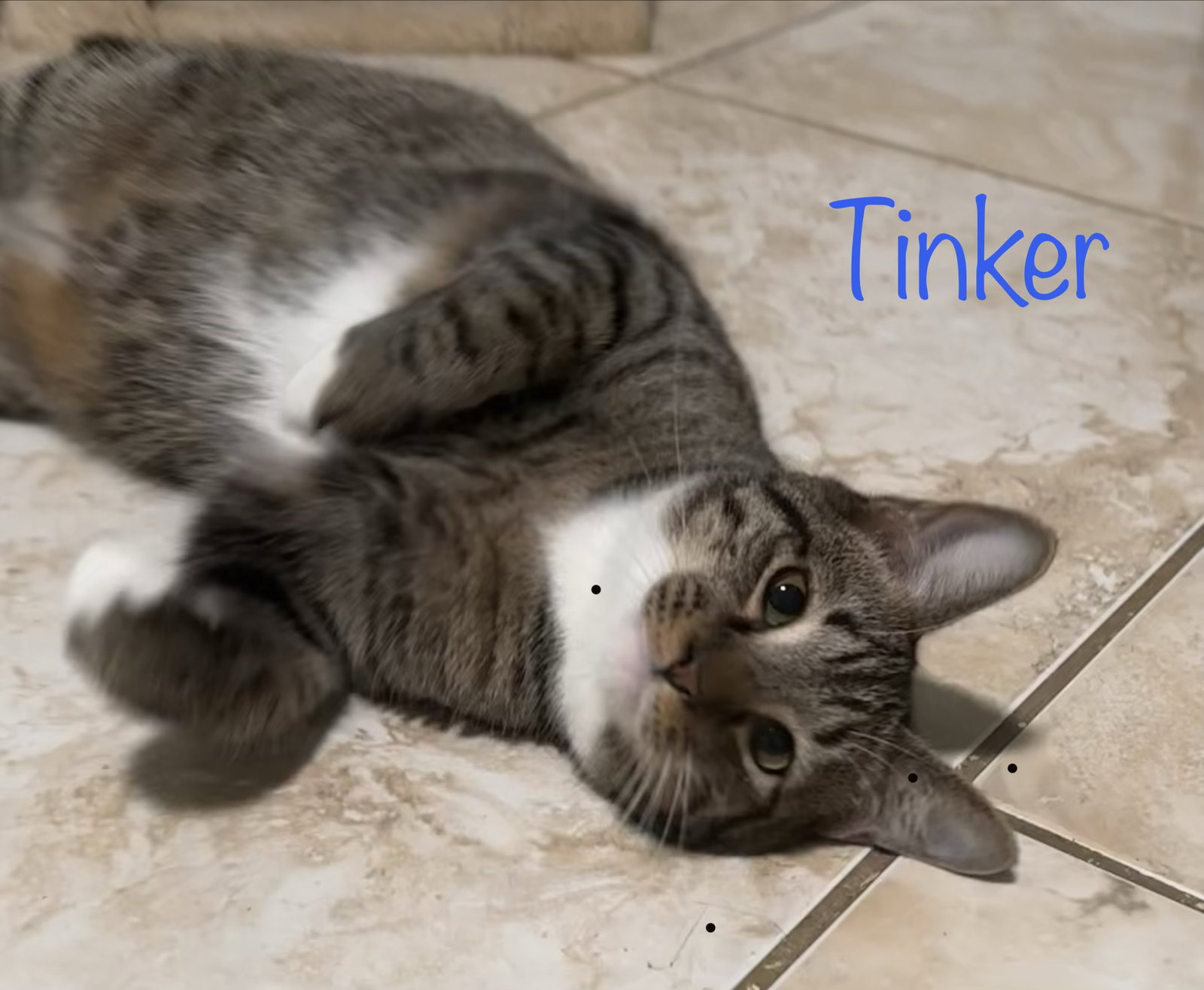 Tinker Image