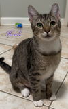 Heidi