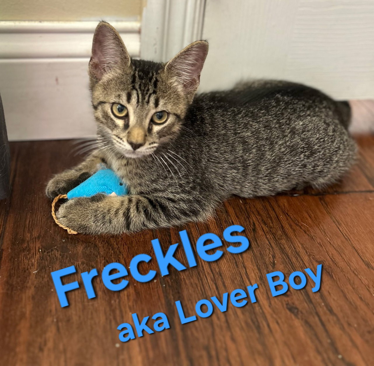Freckles Image