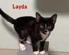 Layda