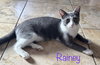 Rainey - Photo 2