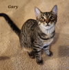 Gary