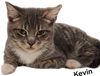Kevin