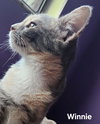 Winnie