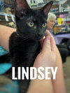 Lindsey