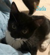 Jada