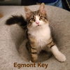 Egmont Key