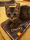 Chucky