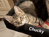 Chucky