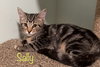 Sally
