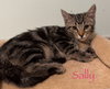 Sally