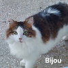 Bijou
