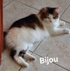 Bijou