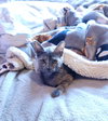 Tarte - Photo 5