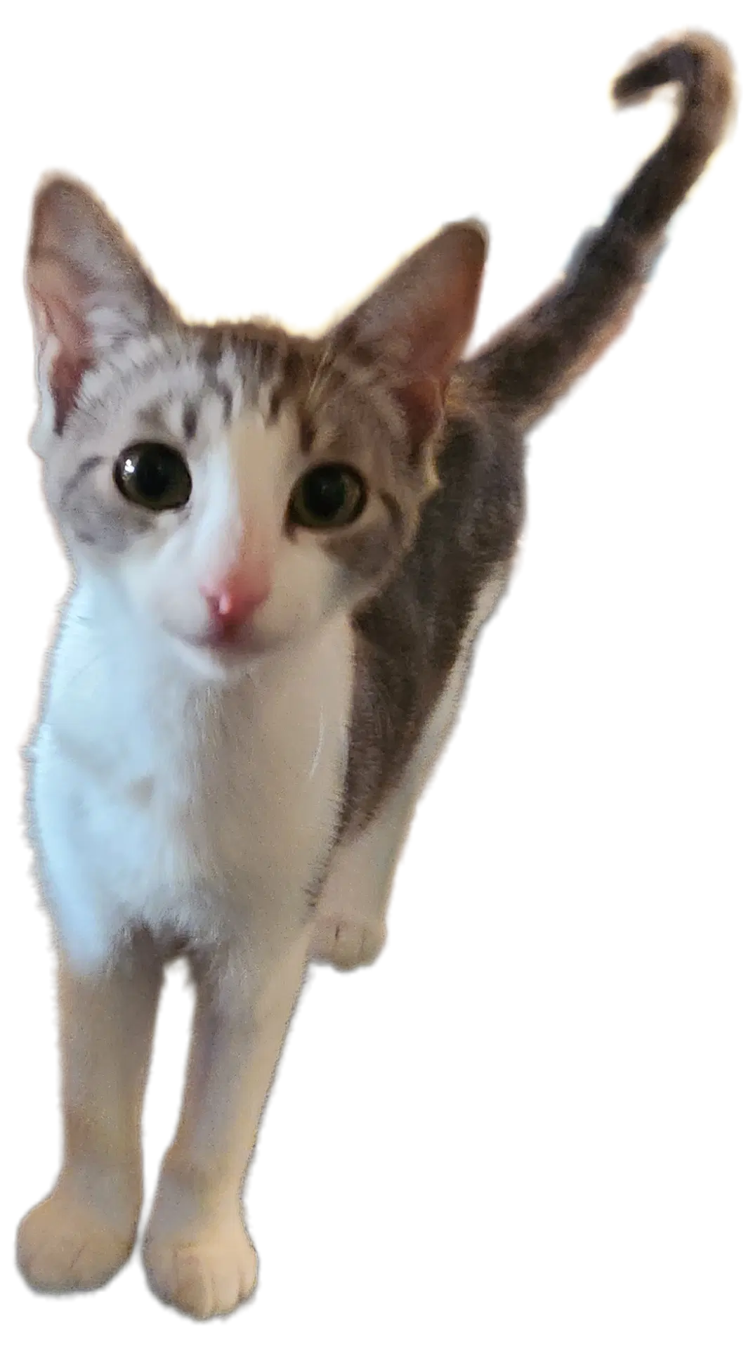 Oda Mae image 2