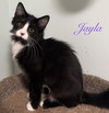 Jayla
