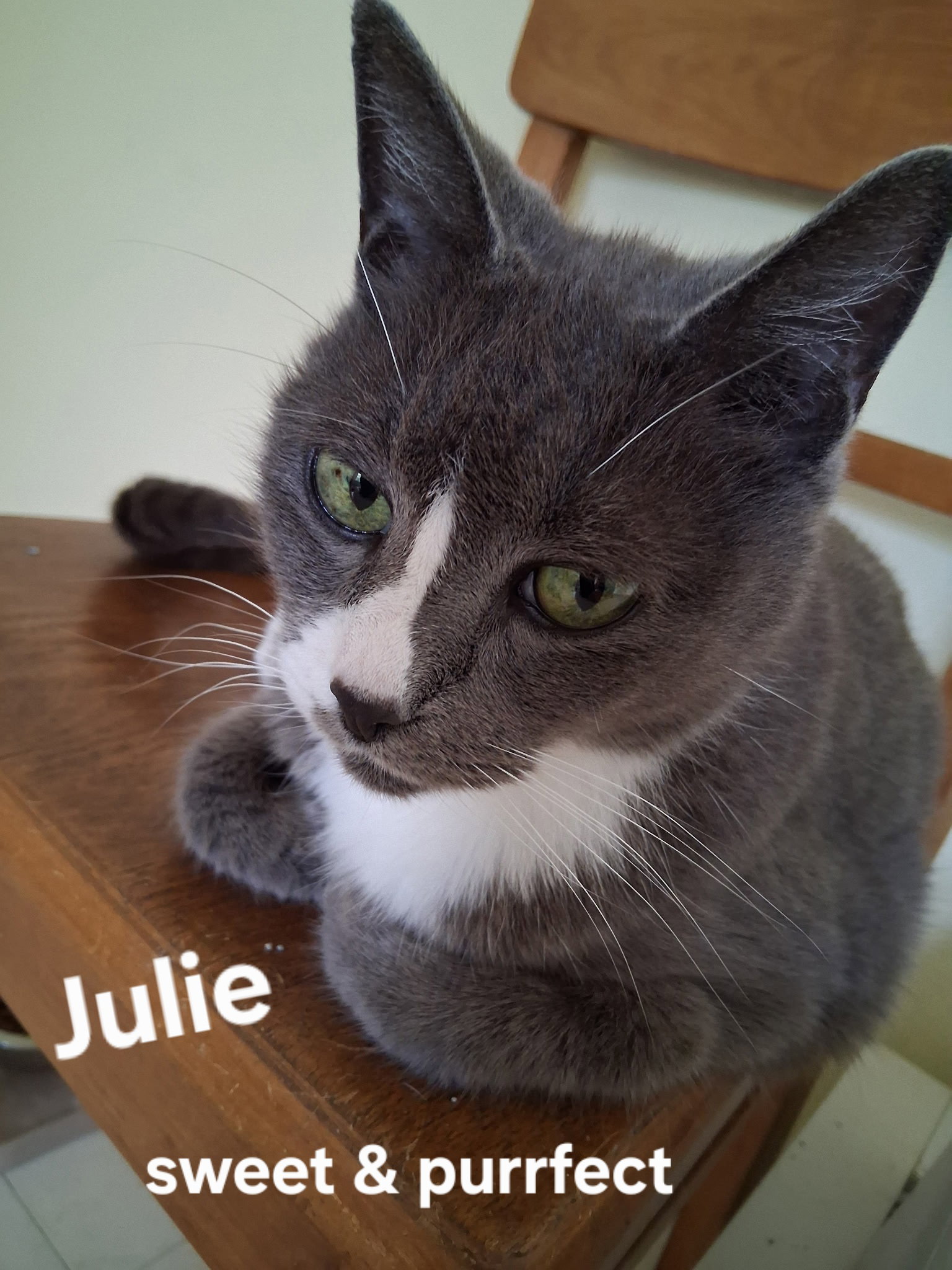 Julie Image