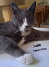 Julie