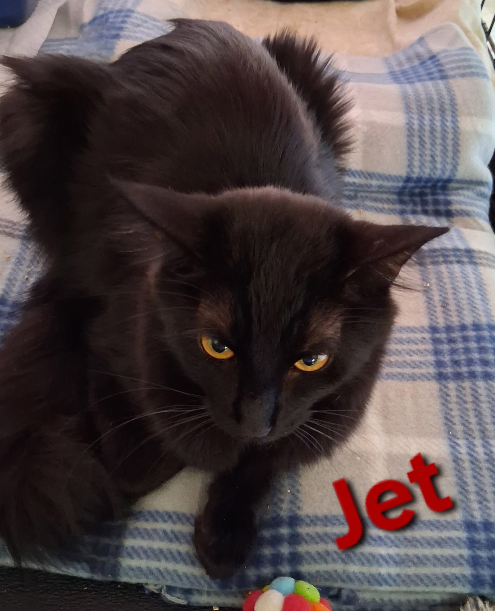 Jet Image