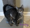 Everly