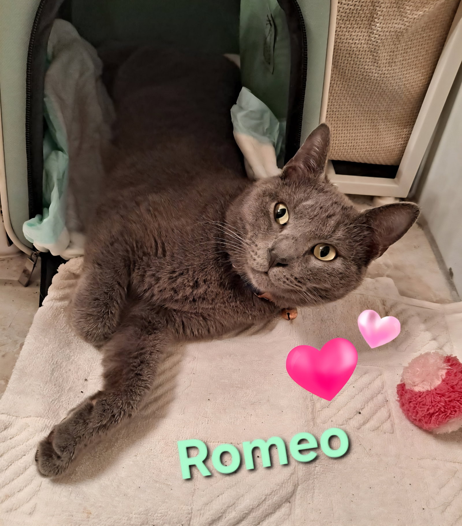 Romeo Image