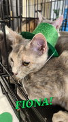 Fiona